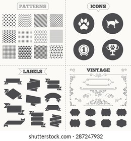 Seamless patterns. Sale tags labels. Pets icons. Cat paw with clutches sign. Winner cup and medal symbol. Dog silhouette. Vintage decoration. Vector