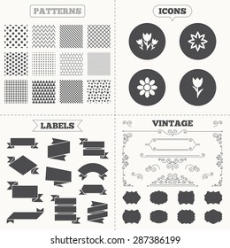 Seamless patterns. Sale tags labels. Flowers icons. Bouquet of roses symbol. Flower with petals and leaves. Vintage decoration. Vector