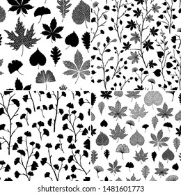 Seamless patterns set of ginkgo biloba, oak, linden, chestnut leaf. Vector black and white monochrome collection isolated on transparent background. Botanical beautiful trendy illustration