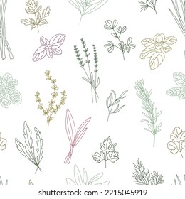 Seamless patterns of spicy herbs line Oregano, Fenugreek, Rosemary, Mint, Arugula, Thyme, Parsley, Lavender, Tarragon, Basil, Dill, Scallion, Cheremsha, Cilantro, Sage, Lovage.