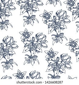 seamless pattern,tropical flowers, vector,hand drawing ,isolated on white background