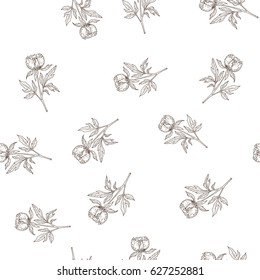 Seamless peony pattern. Hand drawn vector illustration