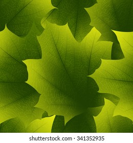 Seamless photorealistic green maple leafs pattern. Very detailed leaf texture may be used as backdrop for site or printing. Vector.