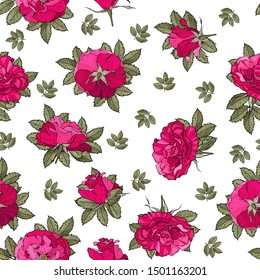 Seamless pink floral pattern with roses on white. Endless festive texture for wedding design, announcements, postcards, posters. Vector.