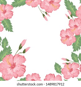 Seamless Pink Hibiscus Flower Pattern