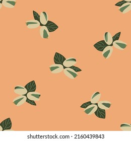 Seamless pistachio background, colorful pattern for fabric or textile on high quallity vector illustration