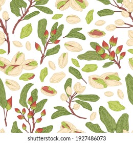 Seamless pistachio pattern with nuts, shells, branches and leaves. Endless texture with realistic pistaches on white background. Hand-drawn colored vector illustration for printing