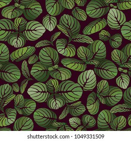 A seamless plant pattern with leaves. Exotic green leaves on a dark background. Vector illustration
