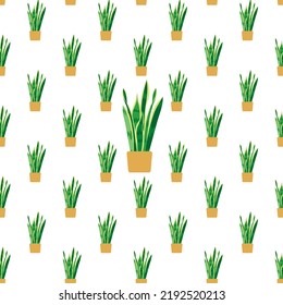 Seamless plant texture with houseplants. Sansevieria