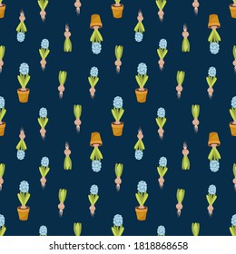 Seamless potted spring flowers pattern on dark blue background. Hyacinth vector illustration