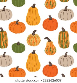 Seamless pumpkin pattern with assorted autumn squash and gourds on white background