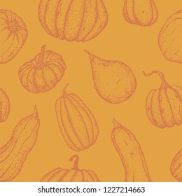 Seamless pumpkin pattern design. Outline isolated pumpkins on bright background. Autumn hand drawn elements in rustic vintage color palette.
