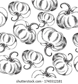 trazo manual de la tinta del vector de calabaza