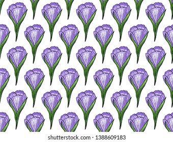 Seamless purple crocus pattern for wallpaper design. Spring blossom hand drawn illustration ornament with lilac flowers for wrapping paper, fabric textile, clothes and wedding decoration