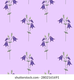 Seamless purple vector pattern with columbine flowers. Summer floral background.