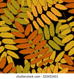 seamless randomly pattern made Isolated colored autumn  rowanleaves . vector illustration