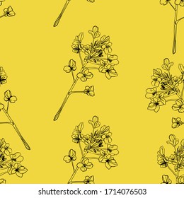 Seamless rape plant pattern, vector flower background. Rapeseed or canola texture for print, spring summer fashion, textile design, fabric, honey shop website, wallpaper, label