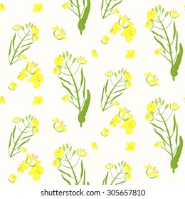 Seamless rape plant  pattern, vector flower background. Seamless vector texture for print, spring summer fashion, textile design, fabric, home decor, shop website, wallpaper, label