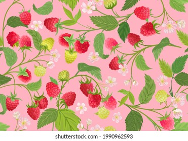 Seamless raspberry pattern with summer berries, fruits, leaves, flowers background. Vector illustration in watercolor style for spring cover, tropical wallpaper texture, backdrop, wedding invitation