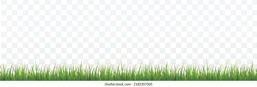 Seamless realistic green grass border, vector illustration on transparent background. Meadow or park lawn, horizontal decorative design element, nature plants
