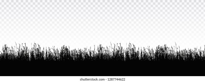 Seamless realistic illustration of a grass stalk or lawn, isolated on a transparent background - vector