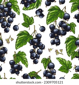 Seamless realistic pattern with black currants and green leaves. Hand drawn colored sketch. Blackberry agriculture vegan plant. Good for printing on packaging, textile. Vector illustration on white