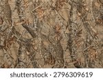 Seamless realistic tree bark camouflage pattern vector. Woodland forest camo background with detailed branches, twigs, and moss texture for tactical hunting gear.