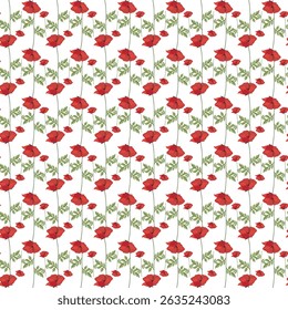 Seamless Red Poppy Floral Pattern on a White Background