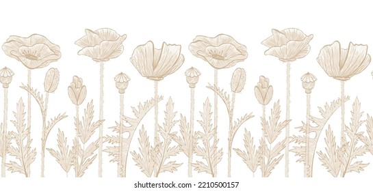 Borde de repetición sin inconvenientes con flores de amapola. Esbozo vectorial dibujado a mano. Color pastel. Ilustración floral aislada sobre un fondo blanco.