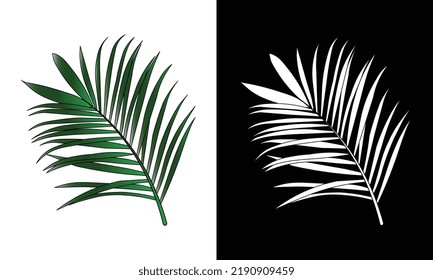 seamless repeat coconut leaves. vector illustration and line drawing.