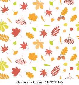 Seamless repeat pattern with different falling leaves, on a white background. Hand drawn vector illustration. Flat style design. Concept for autumn textile print, wallpaper, wrapping paper.
