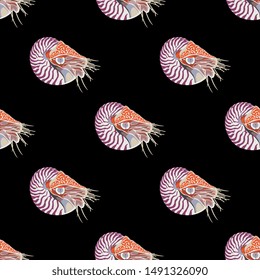 Seamless repeating animal pattern with marine mollusk Nautilus.
