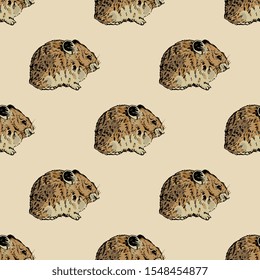 Seamless repeating animal pattern with silhouettes of American pika. (Ochotona princeps). Hand drawn colorful sketches.