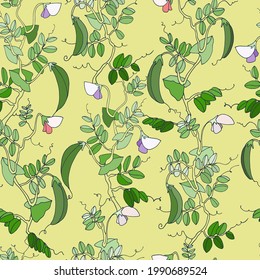 Seamless repeating pattern. Pea plant with pods and flowers. Colorful vector illustration on pale yellow background for surface design and other design projects