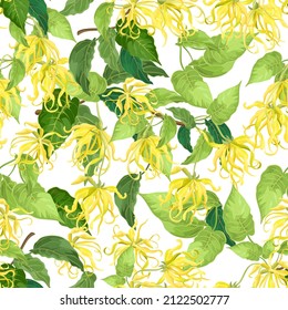 Seamless repeating pattern of Ylang-ylang (Cananga) flowers on white background, vector illustration. 