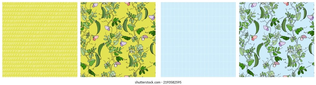 Seamless repeating patterns set. Pea plant with pods and flowers. Colorful vector illustration on sky blue background for surface design and other design projects