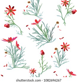 Impresionante, romántico, floral brillante con plantas de campo. Plantas elegantes diseminadas al azar en un fondo blanco.Vector de impresiones de moda, textiles, papel pintado, azulejos, papel de envoltura.
