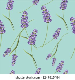 Seamless romantic lavender floral pattern vector