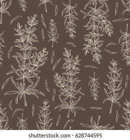 Seamless with rosemary. Hand drawn.