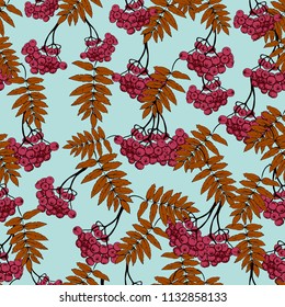 Seamless rowan pattern, vector