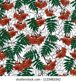 Seamless rowan pattern, vector