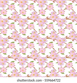 Seamless sakura blossom pattern on a white background. Japanise background. Vector illustration.