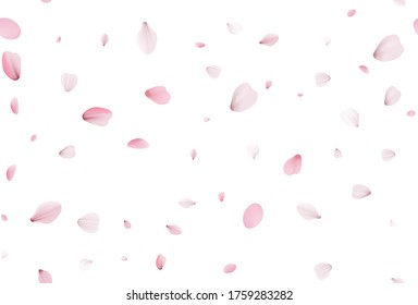 Seamless sakura petals. Falling realistic cherry petals