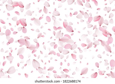 Seamless sakura petals. Falling realistic cherry petals