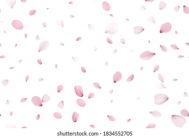 Seamless sakura petals. Falling realistic cherry petals