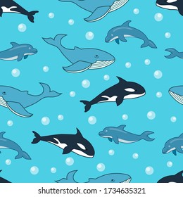 Seamless sea animals pattern with ocean mammals blue whale, killer whale, dolphins. Sea mammals pattern design