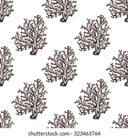 Seamless sea pattern with corals. Hand drawn vintage retro stylish illustration. 