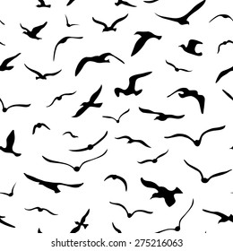 Seamless seagulls pattern. Black and white birds background. 