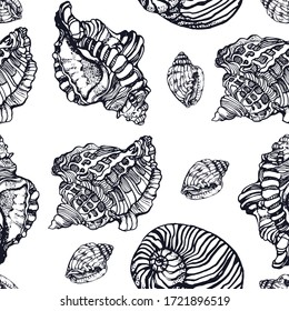 seamless seashell pattern hand drawing isolated on white background vector