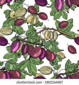 Seamless season pattern with gooseberry. Endless texture for food design with red berries